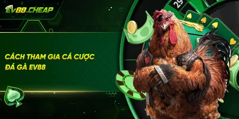 Hướng dẫn tham gia đá gà EV88
